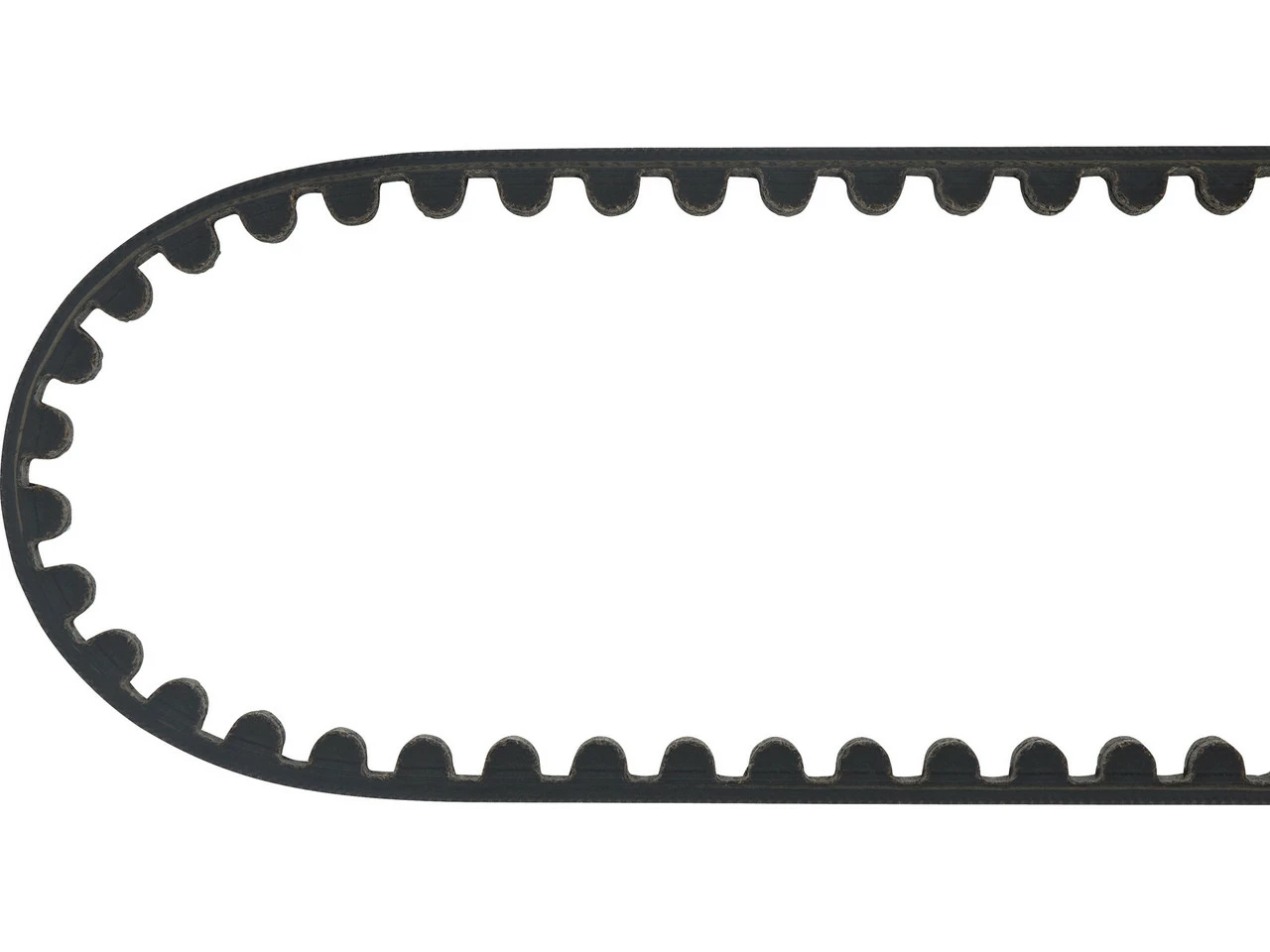 Gates CDN Riemen 4 Gates CDN Riemen – Bild 2