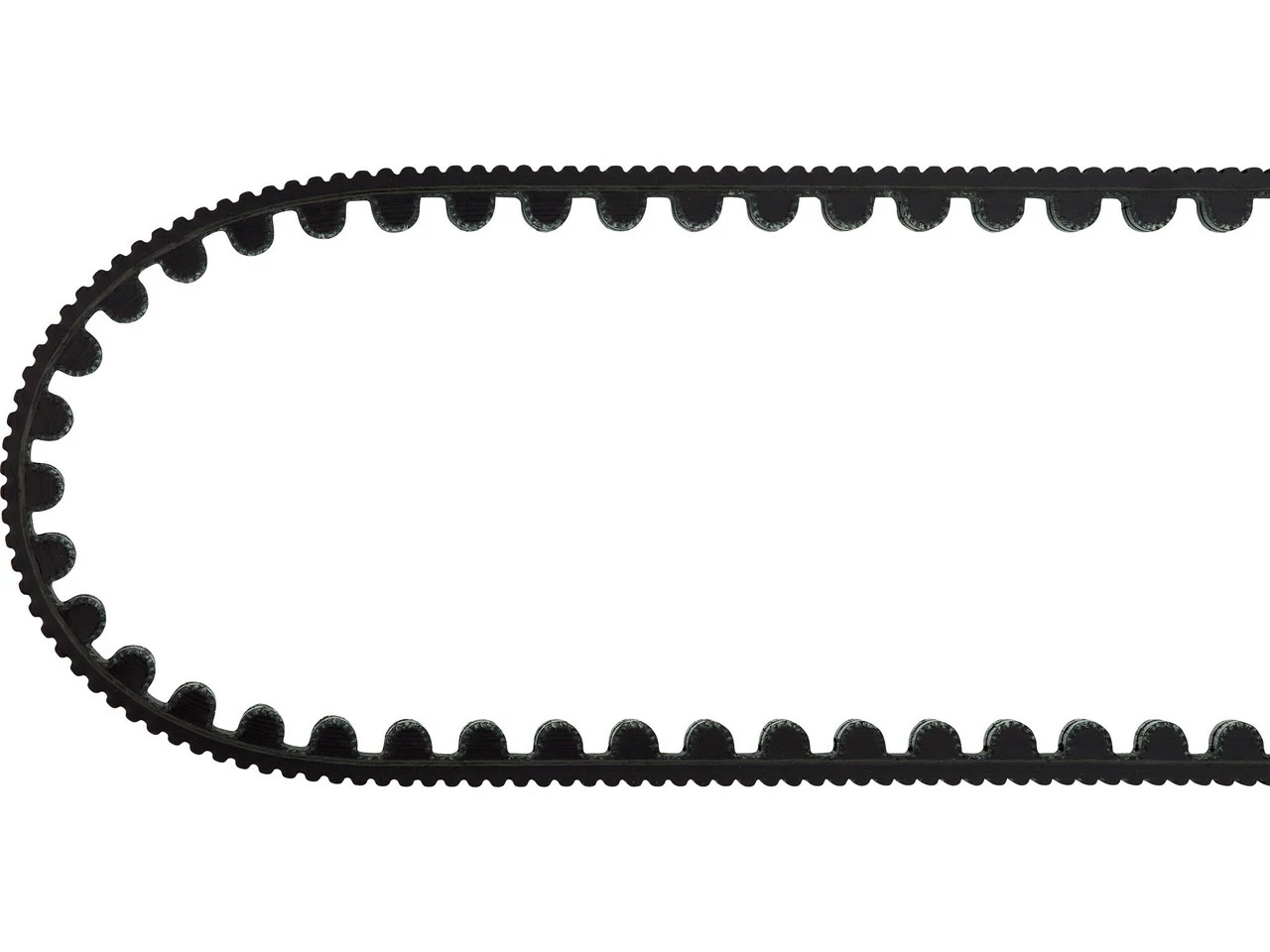 Gates CDX Riemen 12 Gates CDX Riemen – Bild 10