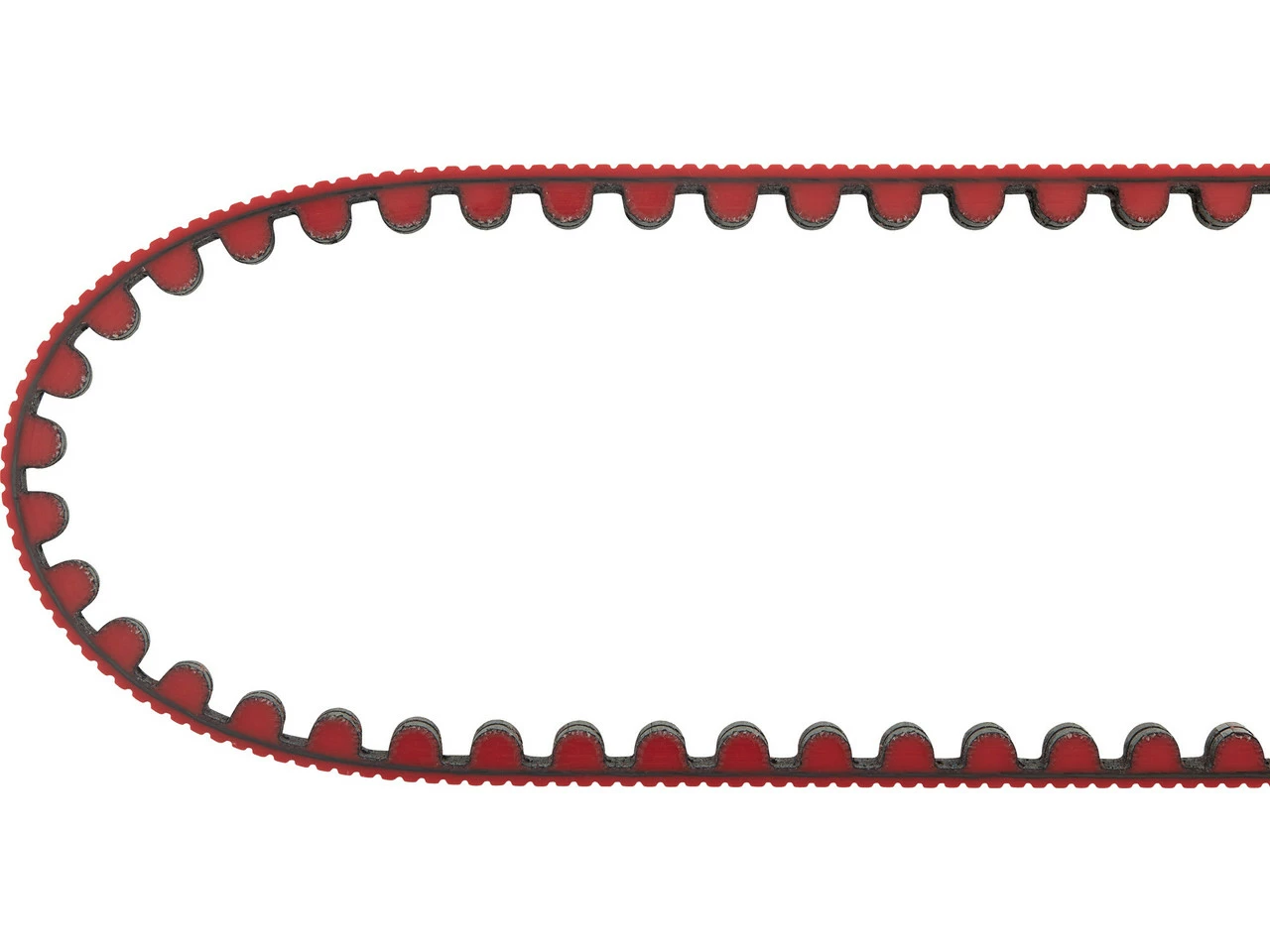 Gates CDX Riemen 20 Gates CDX Riemen – Bild 18