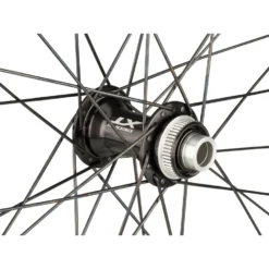 Bc Basic Trail XT Disc Center Lock 29" Laufrad 18 Bc Basic Trail XT Disc Center Lock 29" Laufrad -Angebote Rad Gipfel Store 174767