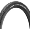 Schwalbe Racing Ray Performance ADDIX 29" Faltreifen 2 Schwalbe Racing Ray Performance ADDIX 29" Faltreifen -Angebote Rad Gipfel Store 244167