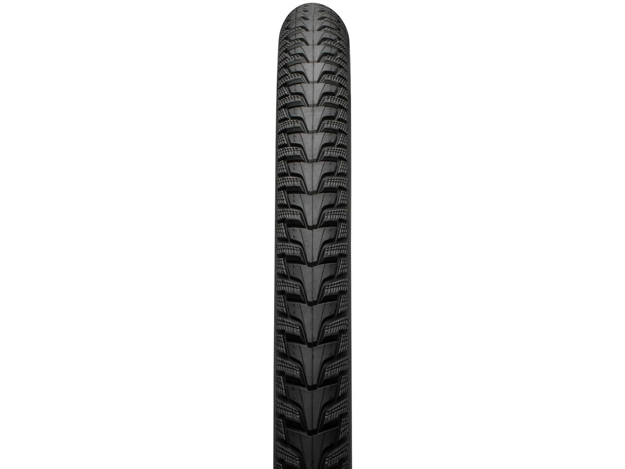 Schwalbe Energizer Plus Tour Performance ADDIX E GreenGuard 28" Drahtreifen 6 Schwalbe Energizer Plus Tour Performance ADDIX E GreenGuard 28" Drahtreifen – Bild 4