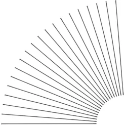 Sapim Race Straightpull Speichen + Nippel - 20 Stück