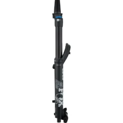 Fox Racing Shox 38 Float 29" GRIP2 Performance Elite Boost Federgabel -Angebote Rad Gipfel Store 401689