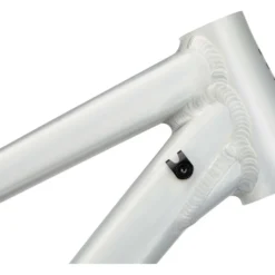 RAAW Mountain Bikes Madonna V2.2 29" Rahmenkit Mit Fox DHX2 2POS Factory -Angebote Rad Gipfel Store 455012