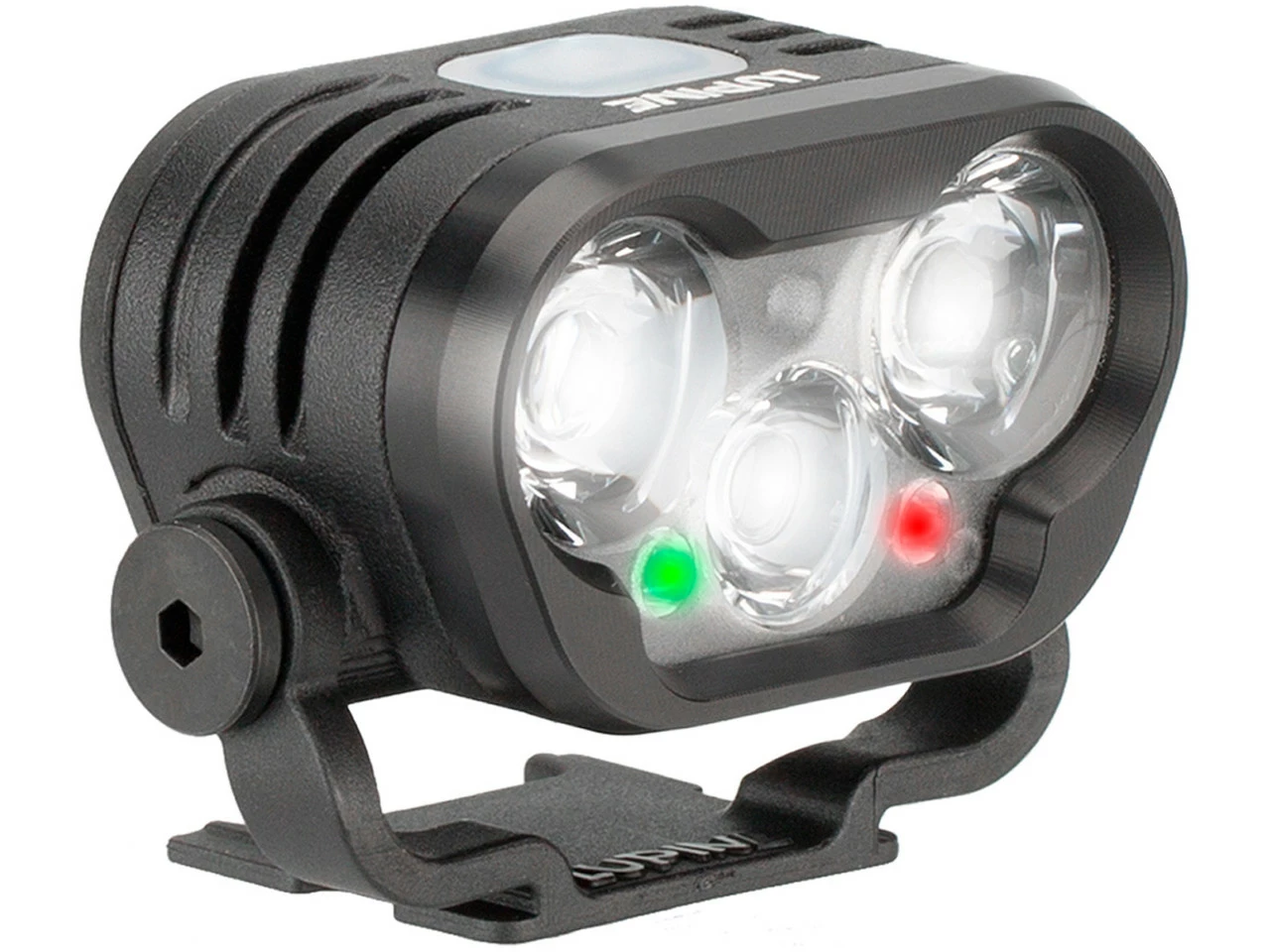 Lupine Blika Lampenkopf 3 Lupine Blika Lampenkopf